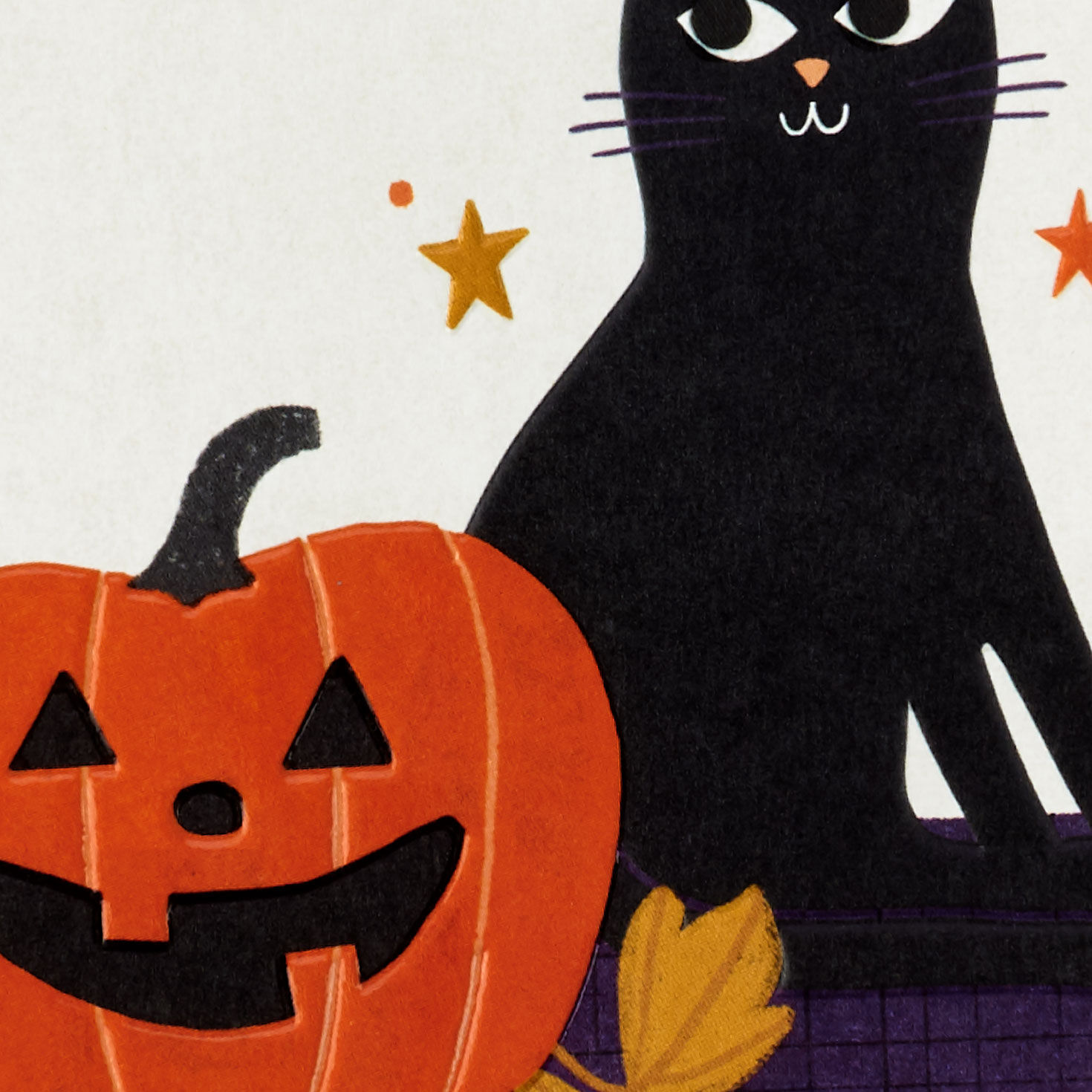 Black Cat and Jack-o'-Lantern Halloween Card for only USD 2.99 | Hallmark
