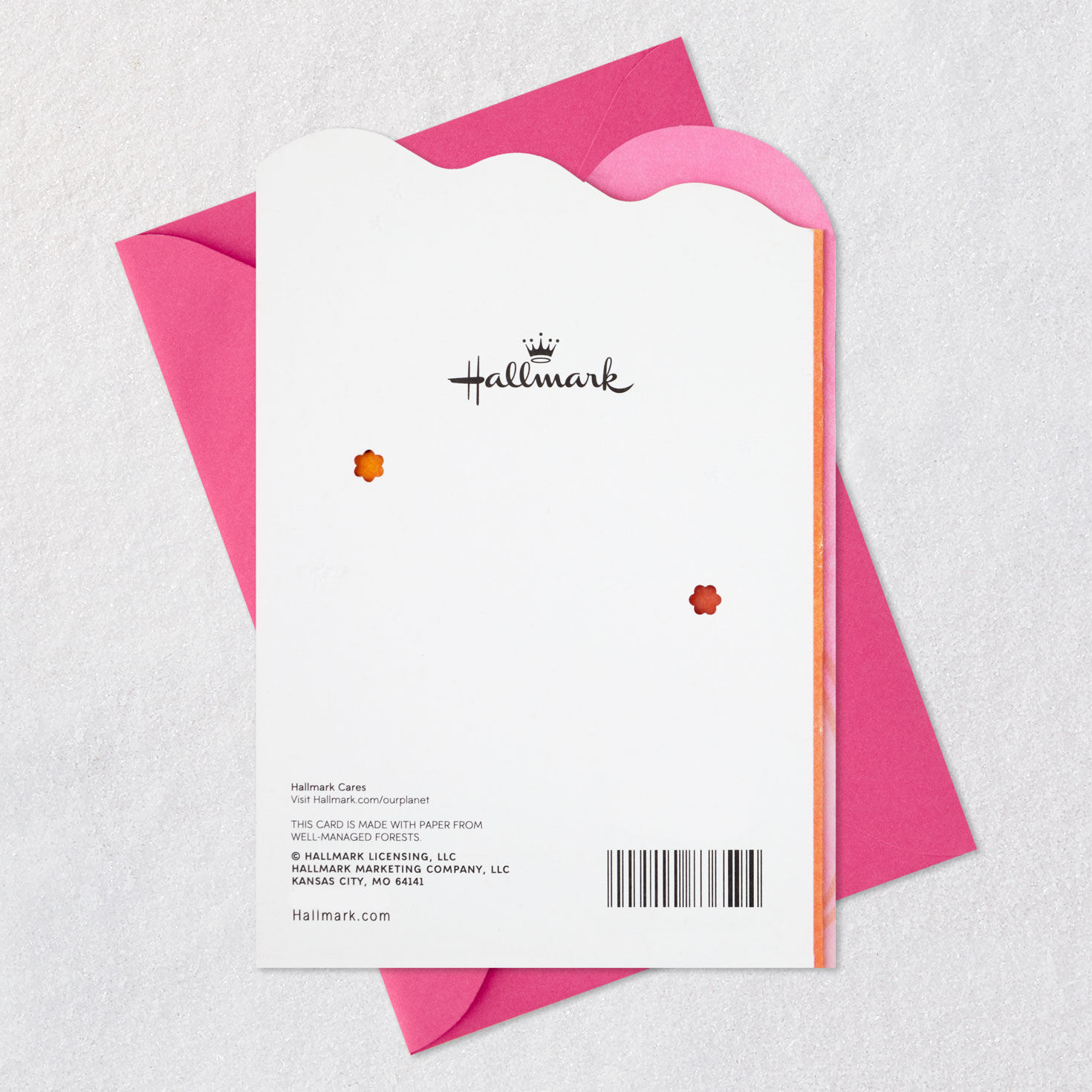 With Warmth and Affection Birthday Card for Aunt, , large image number 9