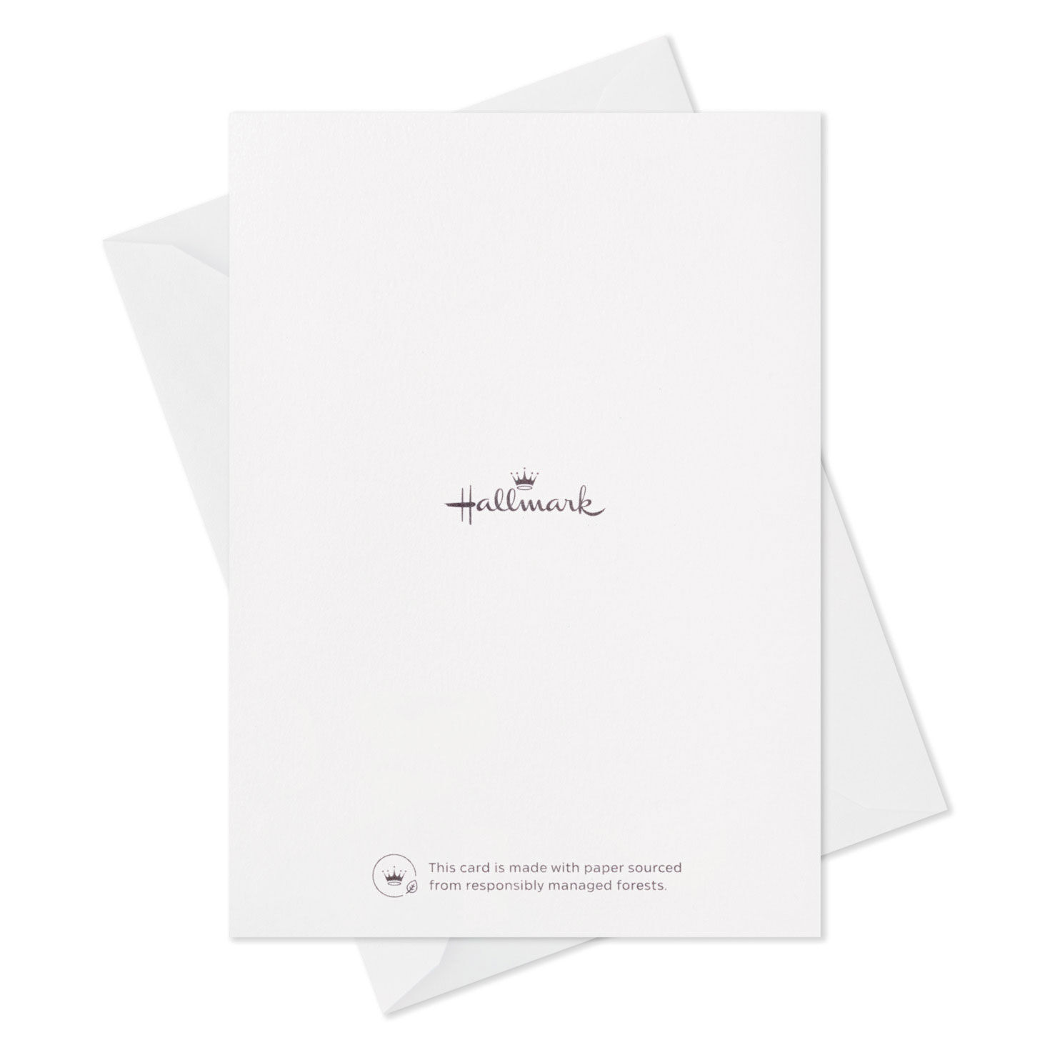 Fun and Festive Boxed Blank St. Patrick's Day Cards Assortment, Pack of 36, , large image number 5