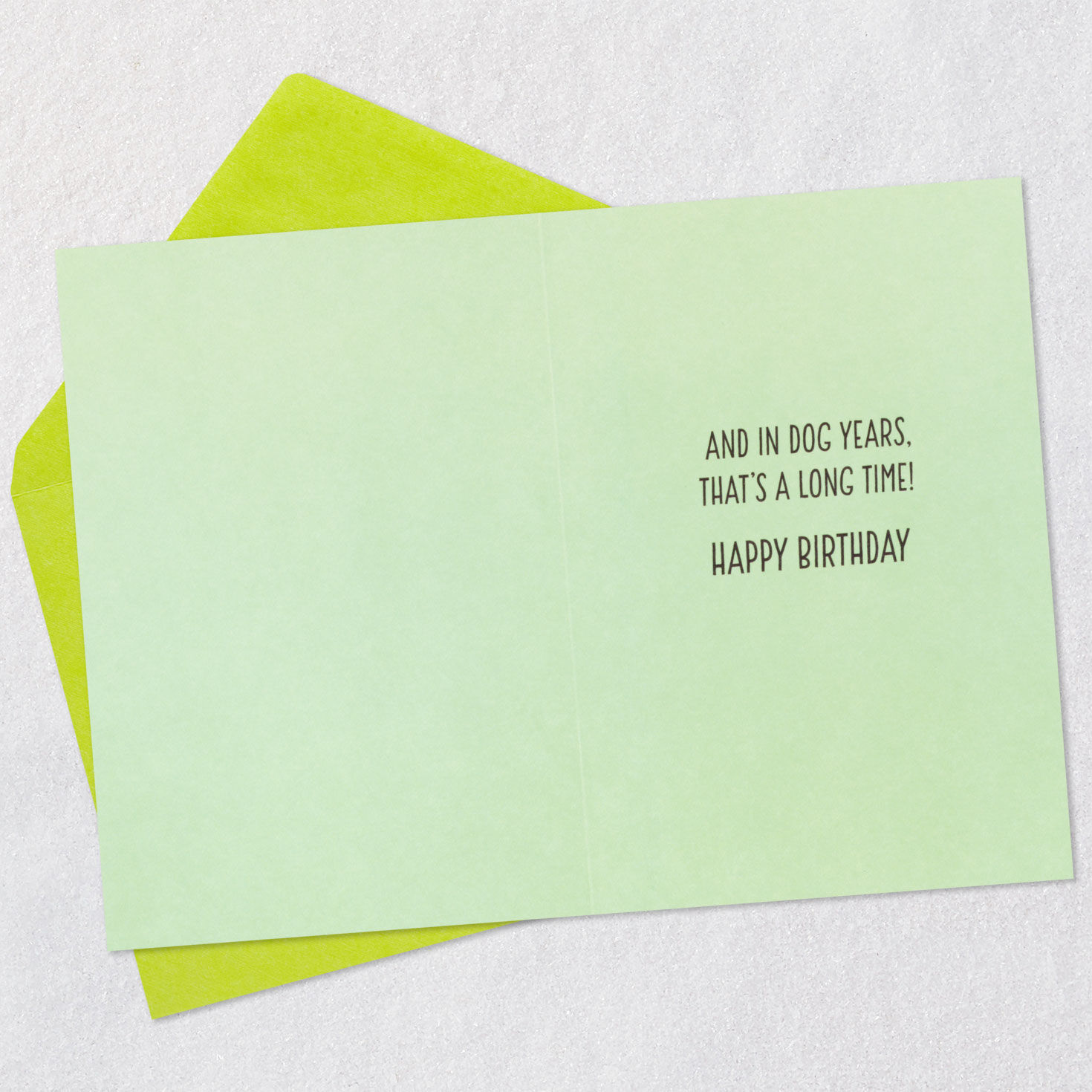 Dog Waiting for Cake Funny Birthday Card Open card with envelope image number 3