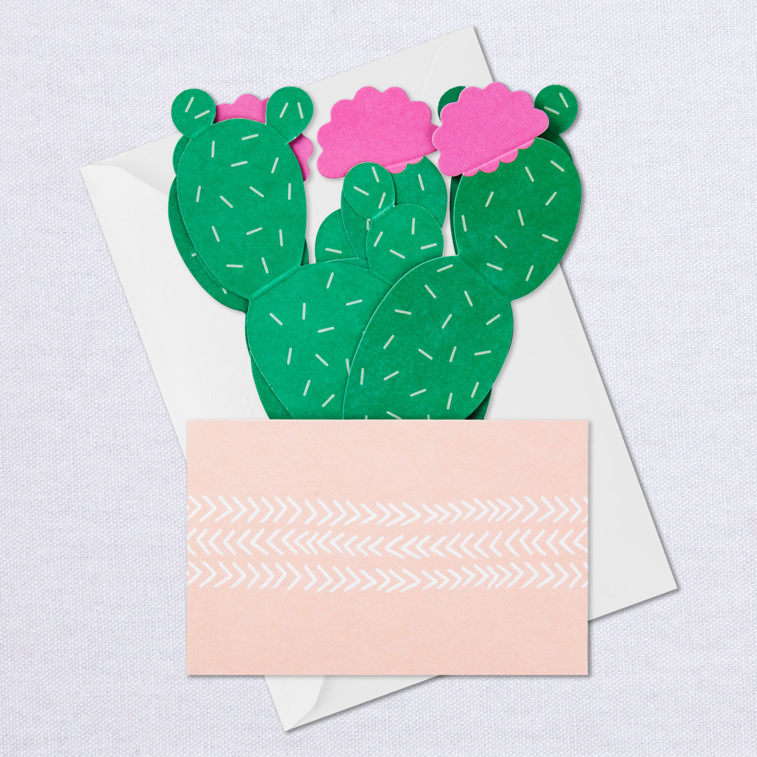 Cactus Looking Sharp 3D Pop-Up Card for only USD 6.99 | Hallmark