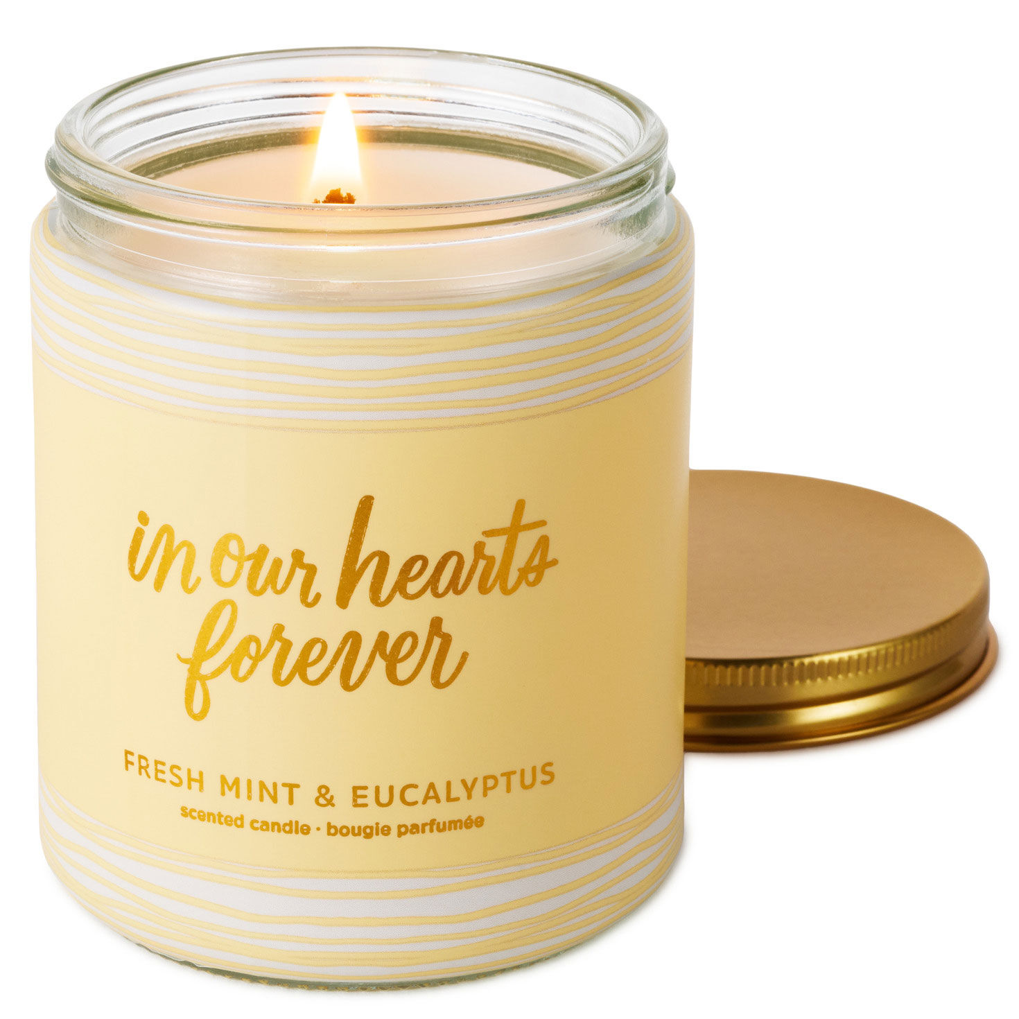 In Our Hearts Forever Fresh Mint & Eucalyptus Scented Jar Candle, 7 oz ...