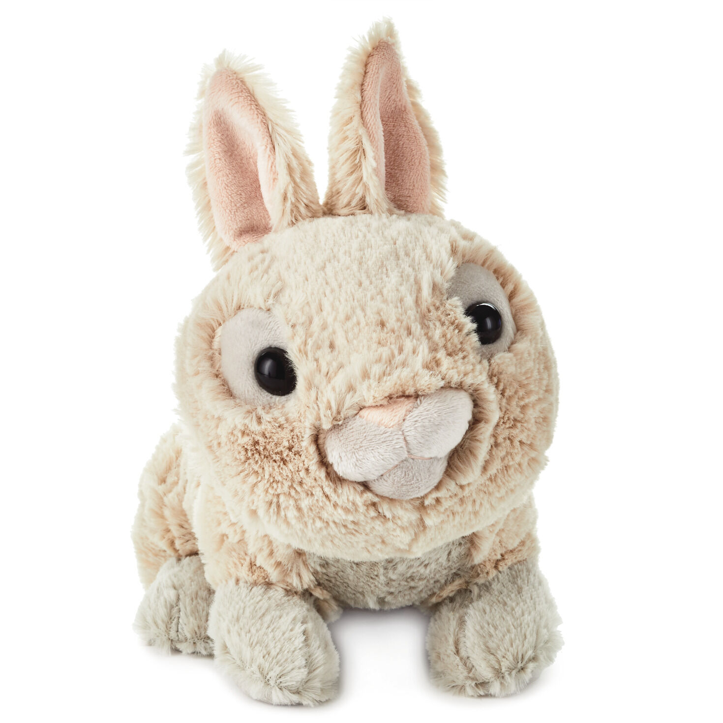 Hallmark Rabbit 13" Gotta Hop Musical Bunny Plush Toy Stuffed Animal 