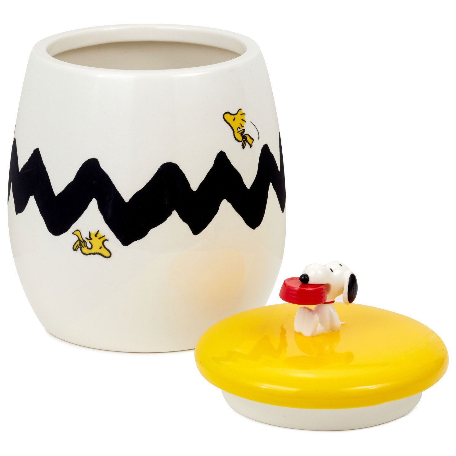 Peanuts® Snoopy and Woodstock Cookie Jar With Sound, 10