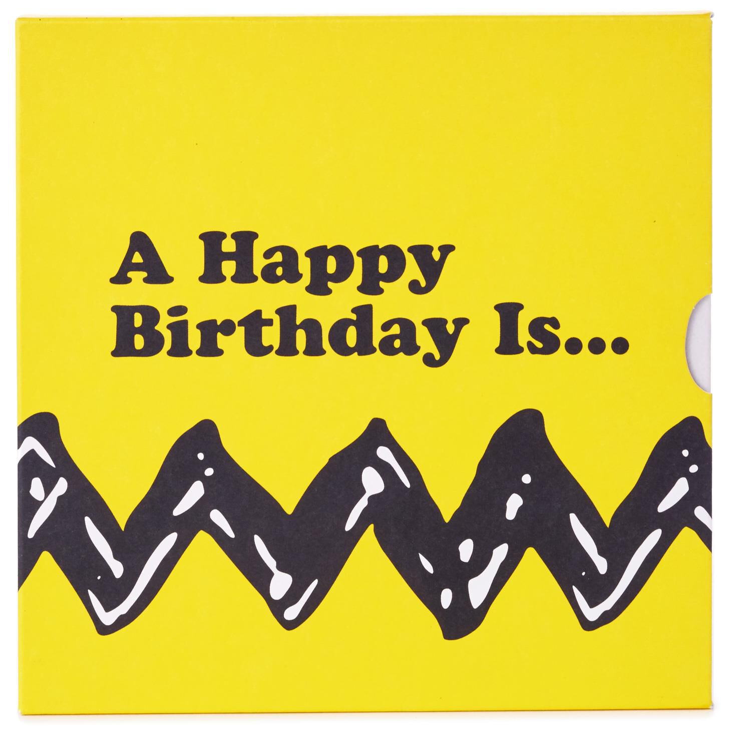 Peanuts® A Happy Birthday Is… Book for only USD 15.95 | Hallmark