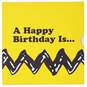 Peanuts® A Happy Birthday Is… Book, , large image number 3