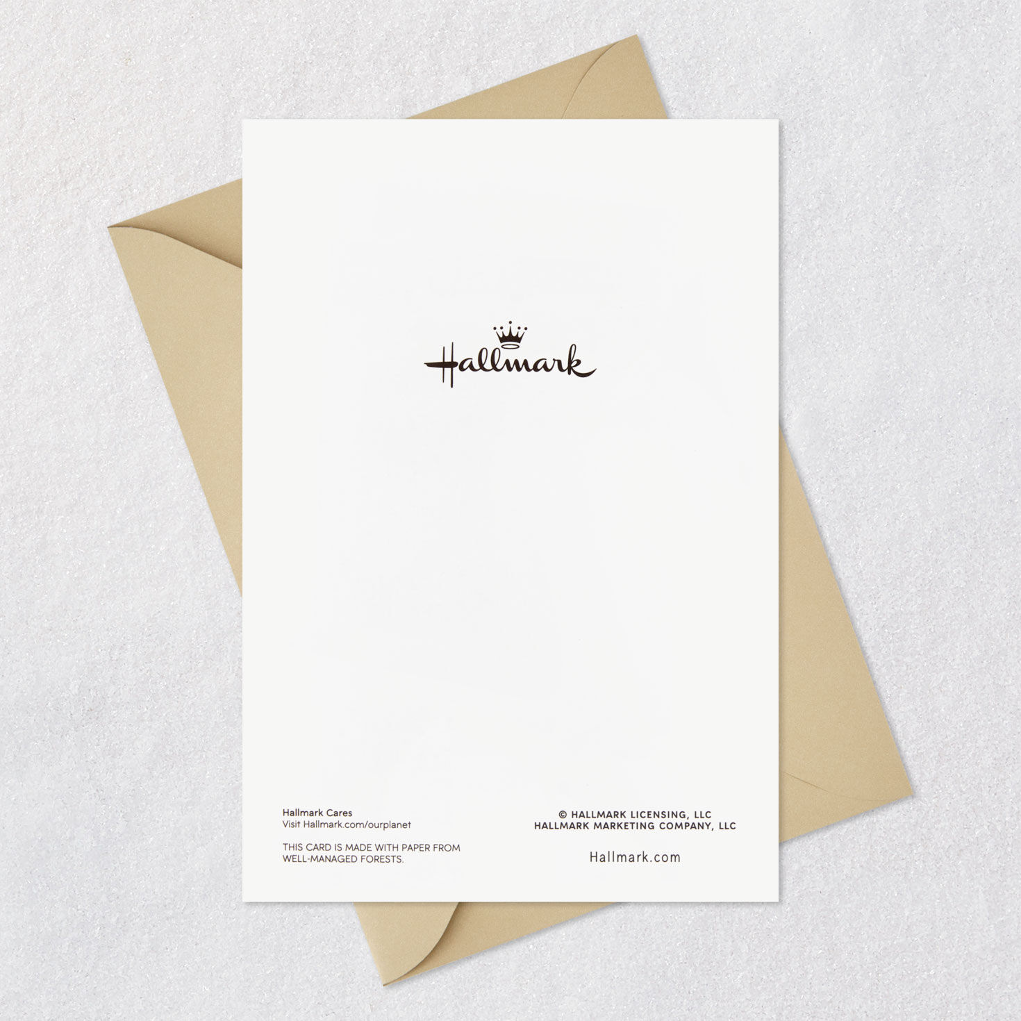 Holiday Icons Thanksgiving Cards, Pack of 10, , large image number 6