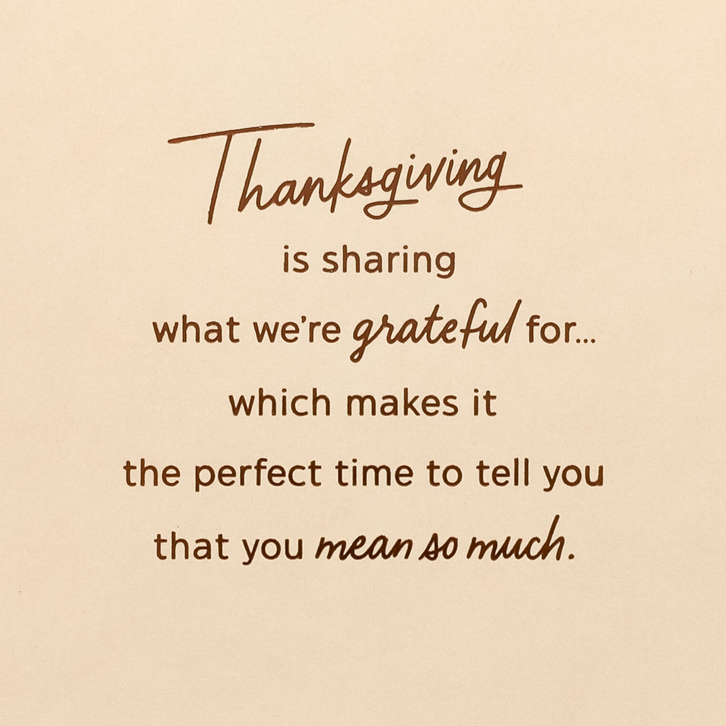 Autumn Leaves Thanksgiving Card Sentiment image number 3