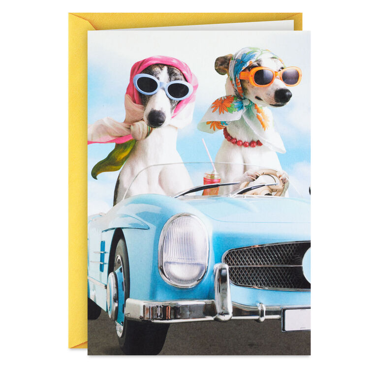 A Sun-in-Your-Face Kind of Day Funny Birthday Card