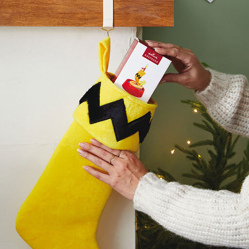 The Peanuts® Gang Charlie Brown Stocking, 