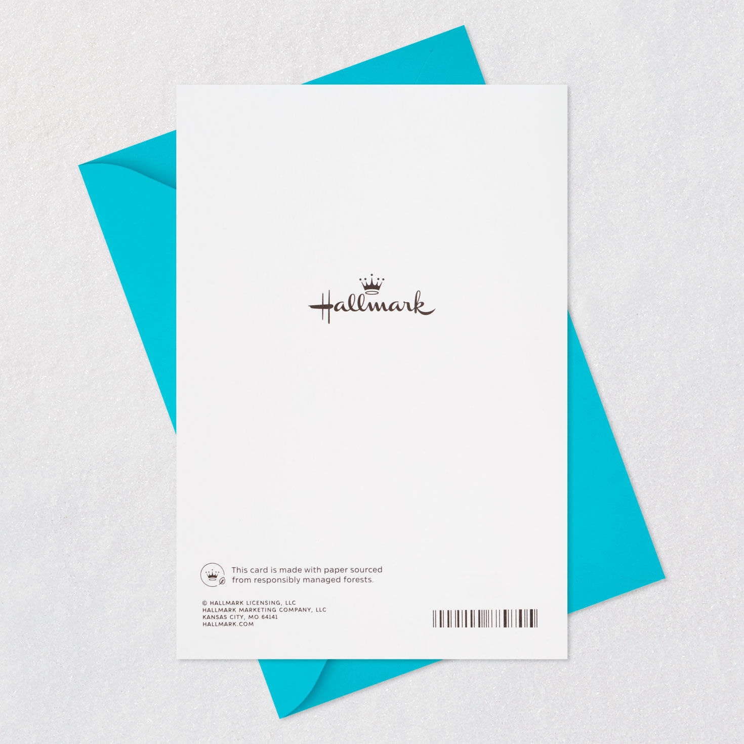 No Better Mom Than You Mother's Day Card From the Dog, , large image number 7