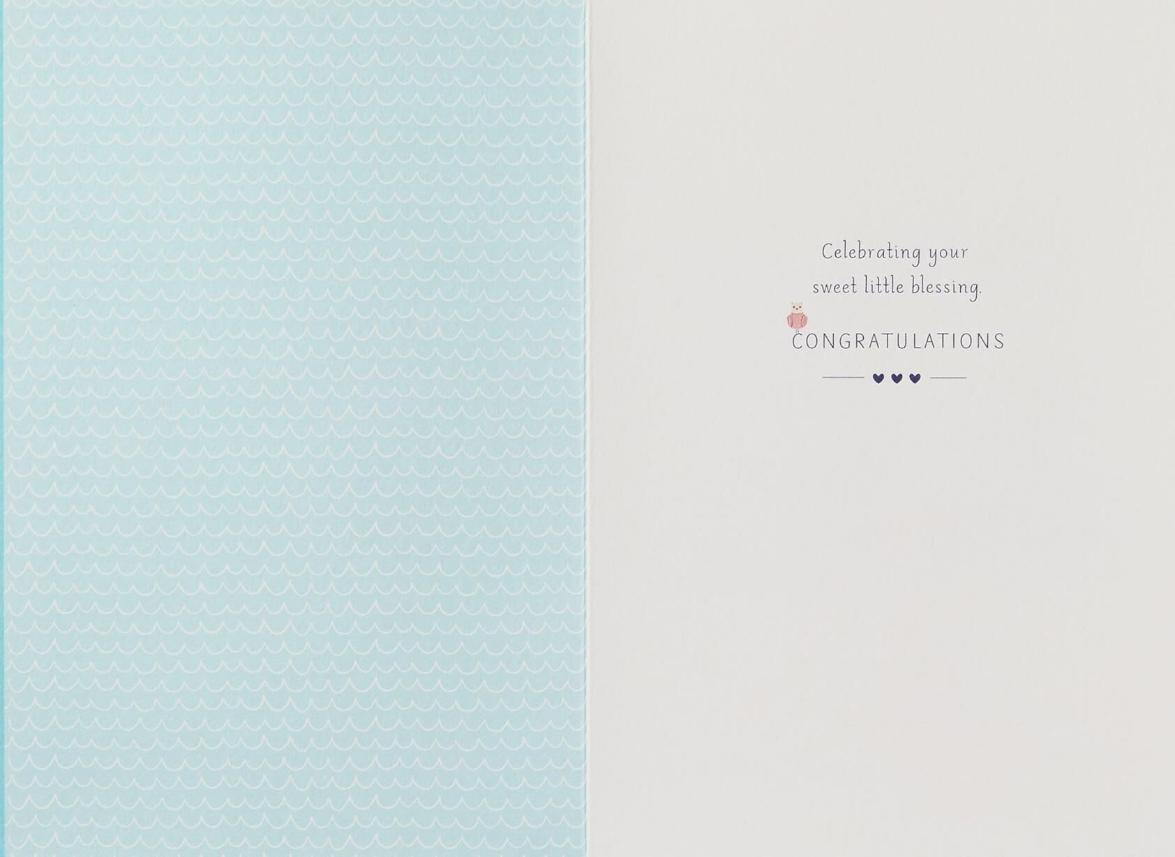 Noah's Ark Animals New Baby Card
