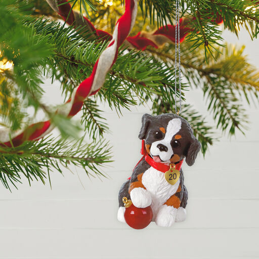 Keepsake Ornaments Hallmark Ornaments Hallmark