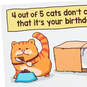 Cats Don't Care Funny Birthday Card, , large image number 4