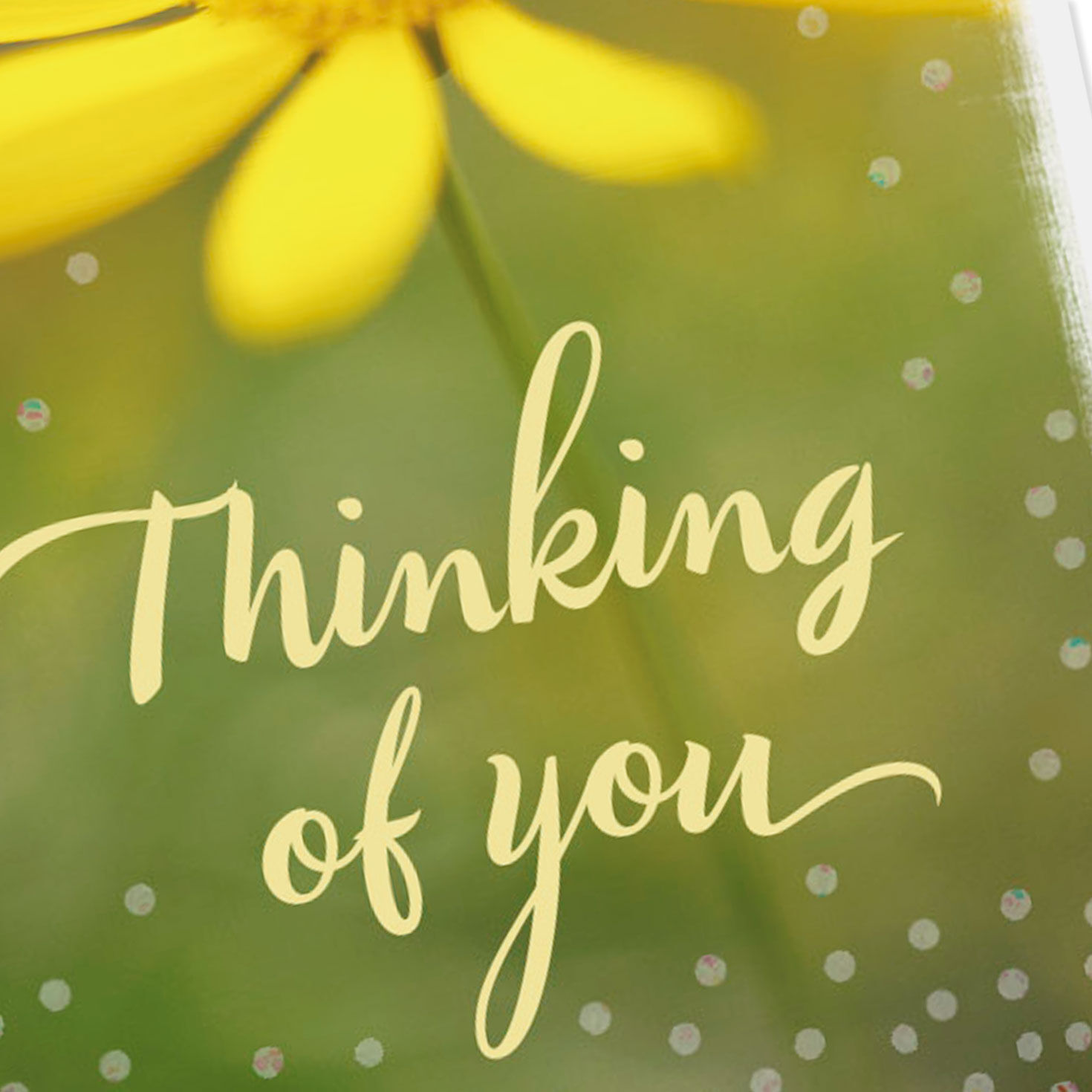 3.25" Mini Hope You're Having a Good Day Thinking of You Card