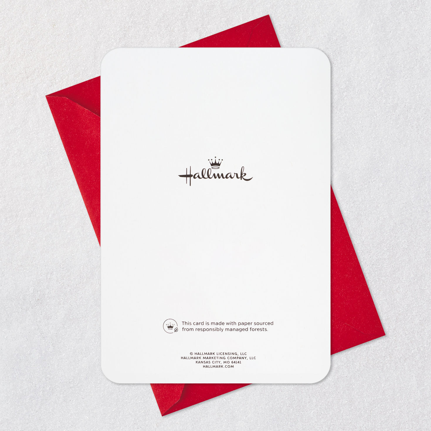 You and Every Dog Made the Nice List Christmas Card, , large image number 7