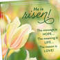 Field of Tulips Religious Easter Cards, Pack of 10, , large image number 5