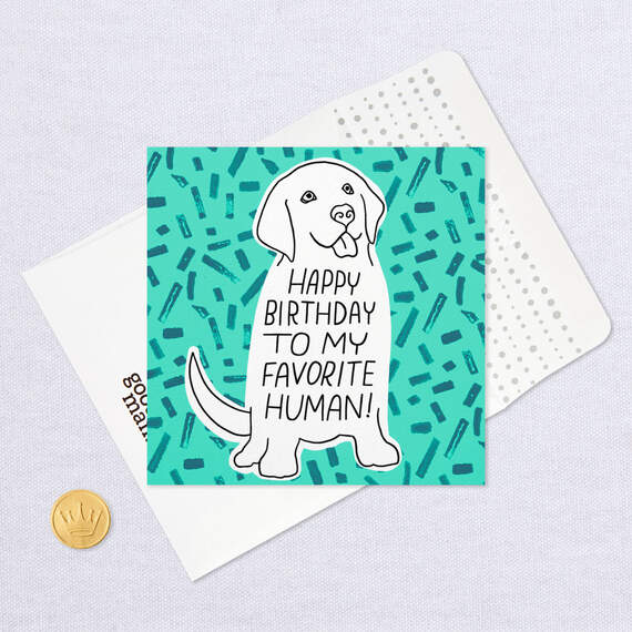 You're My Favorite Human Birthday Card From the Dog, , large image number 5