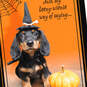 Teeny Wienie Happy Halloween Card, , large image number 4