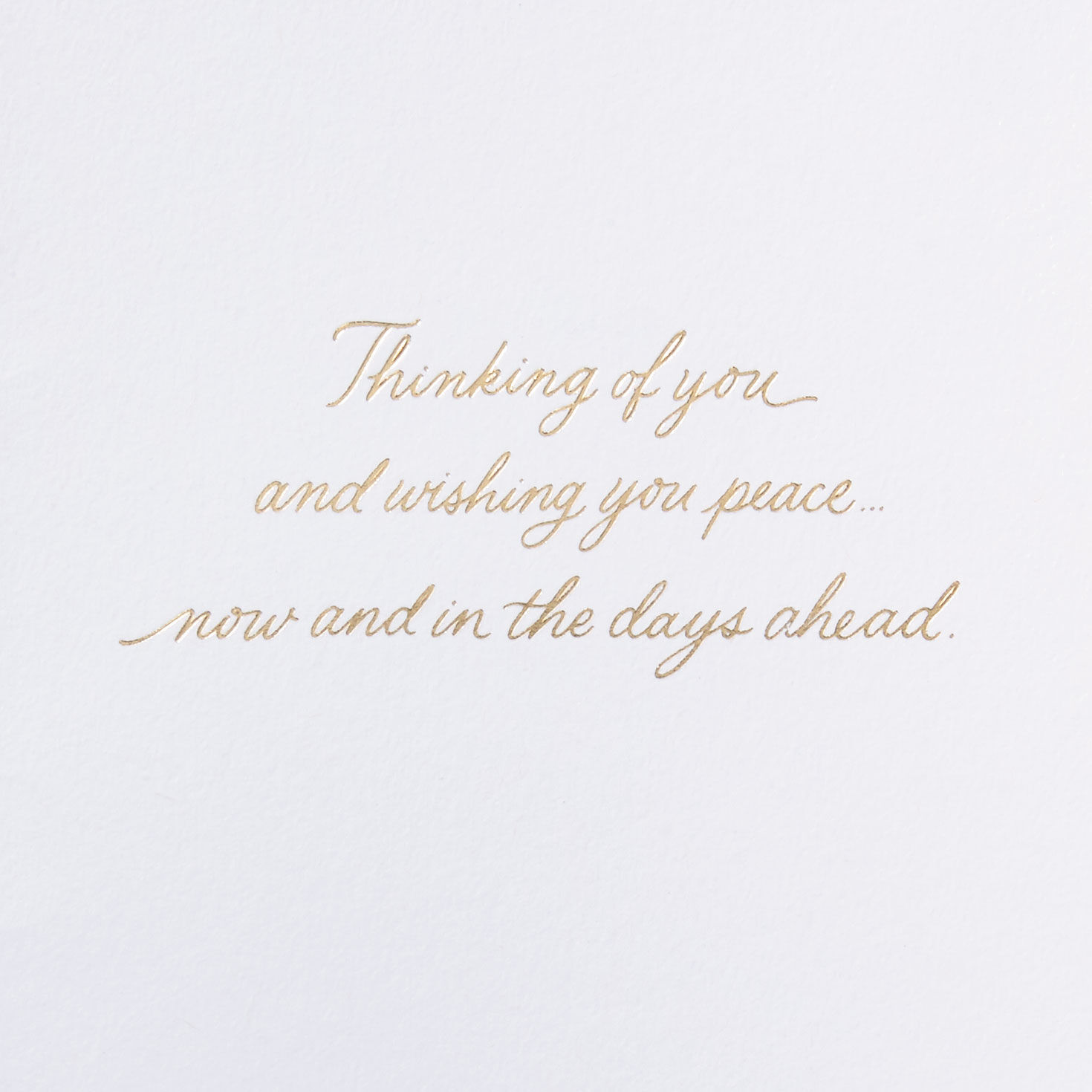 Yellow and Gold Butterflies Sympathy Card Sentiment  image number 2