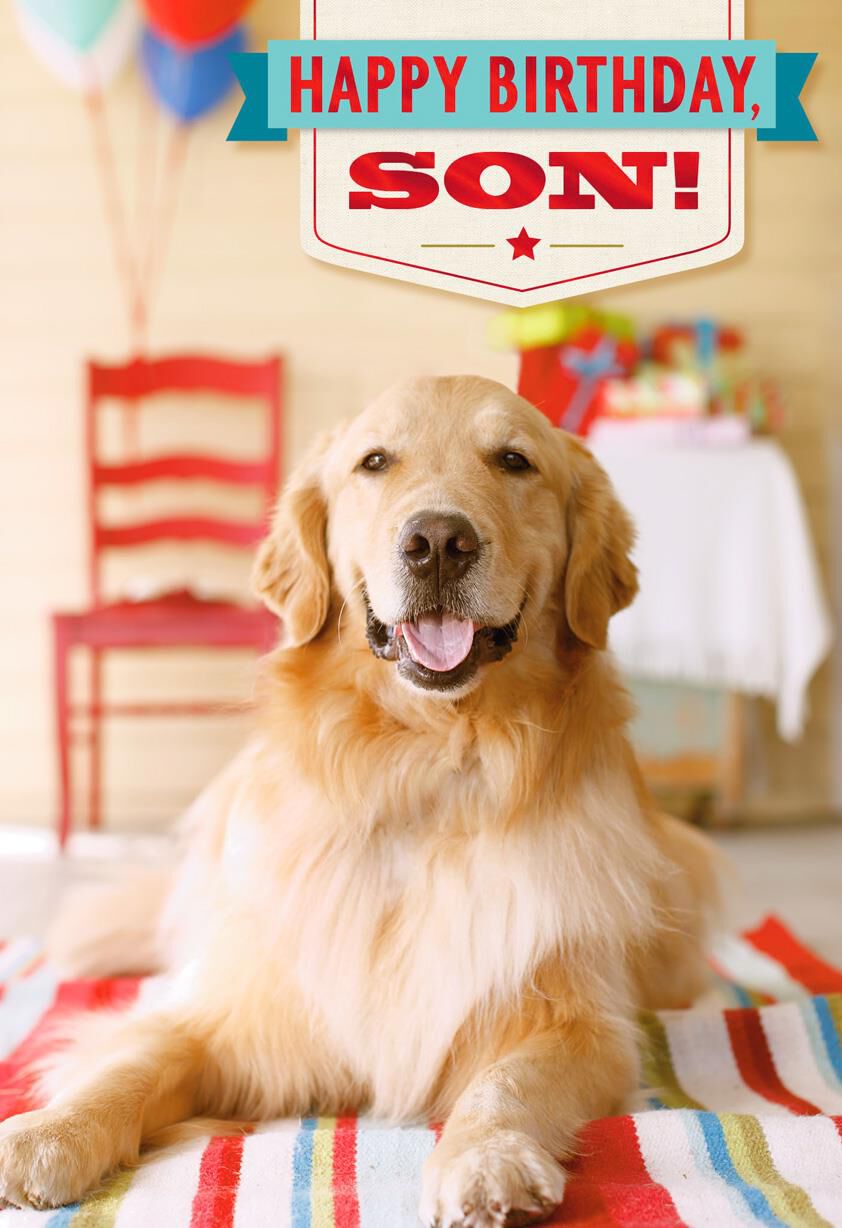 Dog at Party Birthday Card for Son