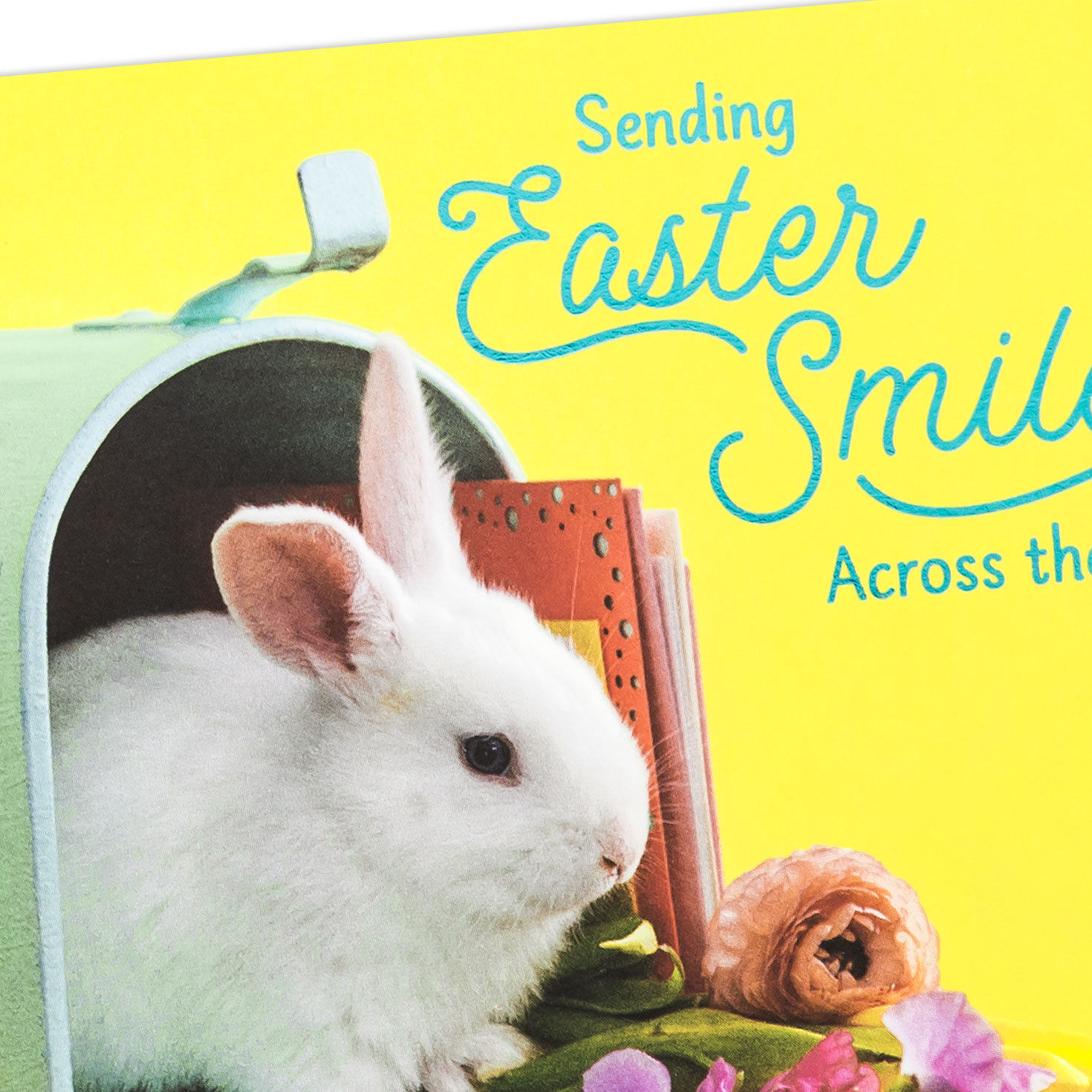 Bunny in Mailbox Easter Card Across the Miles Card Front Detail image number 4