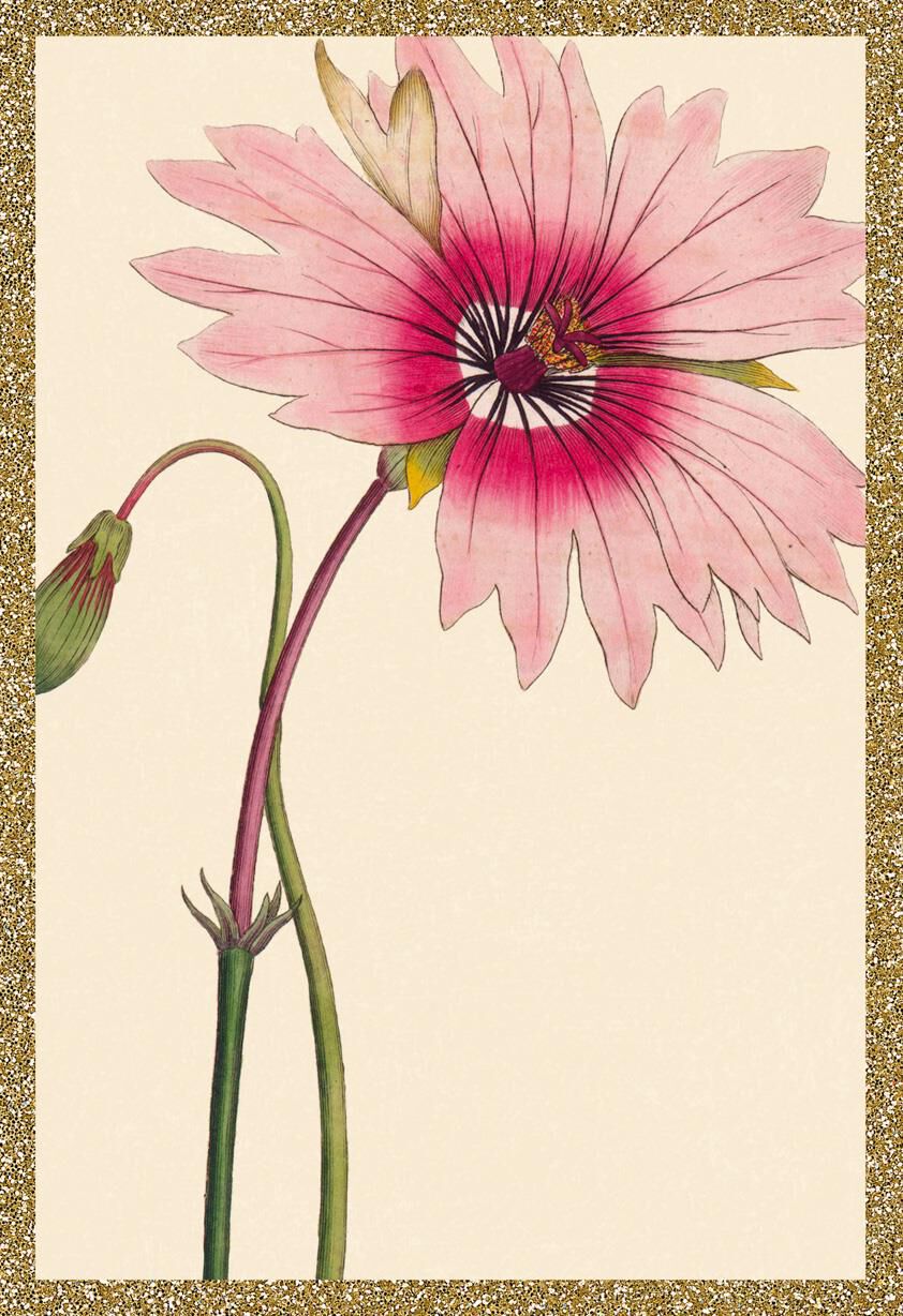 Pink Flower Blank Thinking of You Card