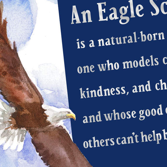 A Model of Character Eagle Scout Congratulations Card, , large image number 4
