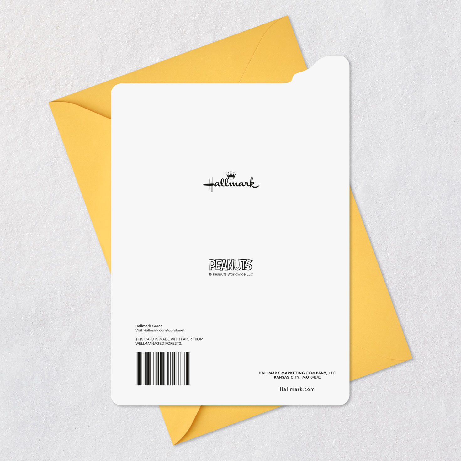 Peanuts Snoopy and Woodstock Birthday Card for Her Card Back with Envelope image number 9