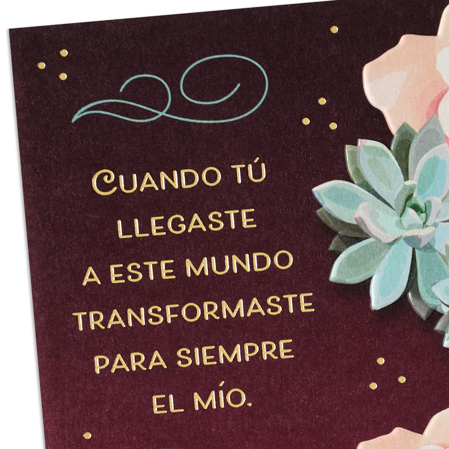 Pink Roses Green Succulents Wife Birthday Card in Spanish Card Front Detail image number 5