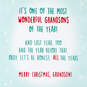 One of the Most Wonderful Grandsons Funny Christmas Card, , large image number 2