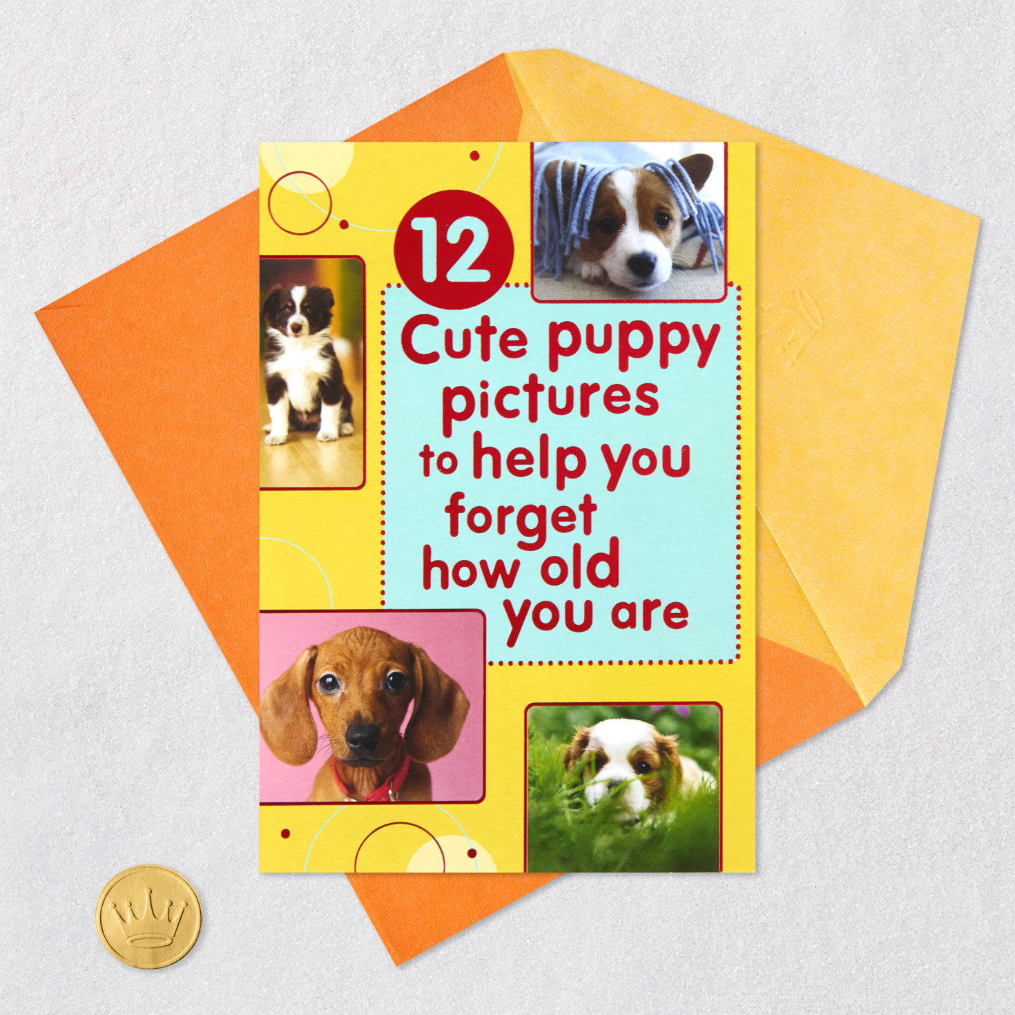 Puppy Pics to Help Forget Getting Older Birthday Card for only USD 4.99 | Hallmark
