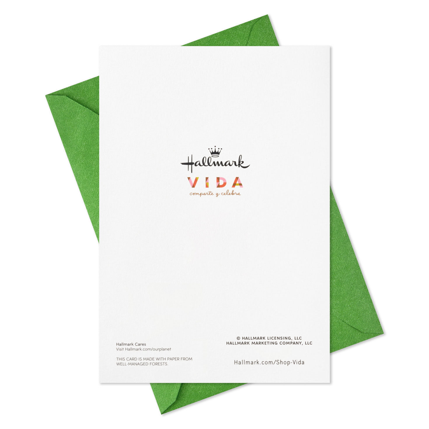 Festive Cityscape Boxed Christmas Cards, Pack of 16, , large image number 7