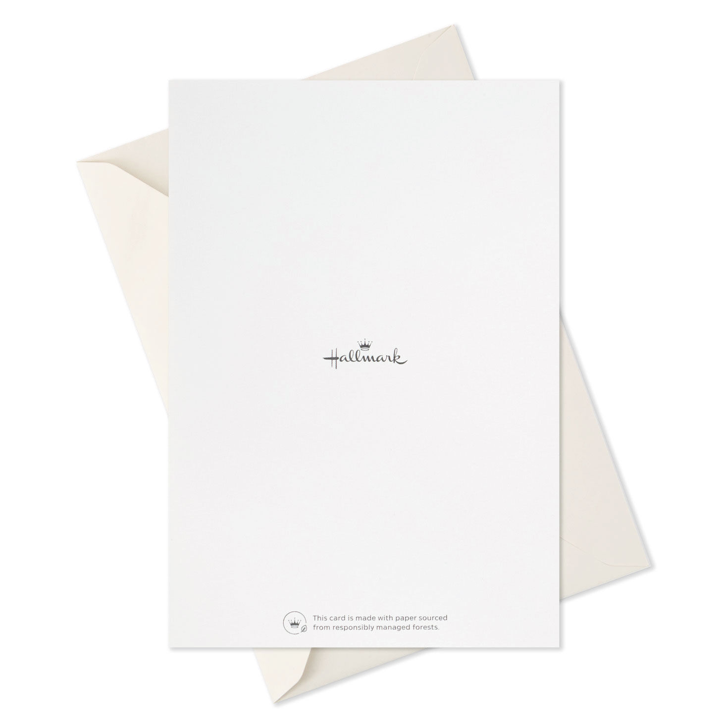 Assorted Abstract Nature Designs Boxed Sympathy Cards, Pack of 16, , large image number 7