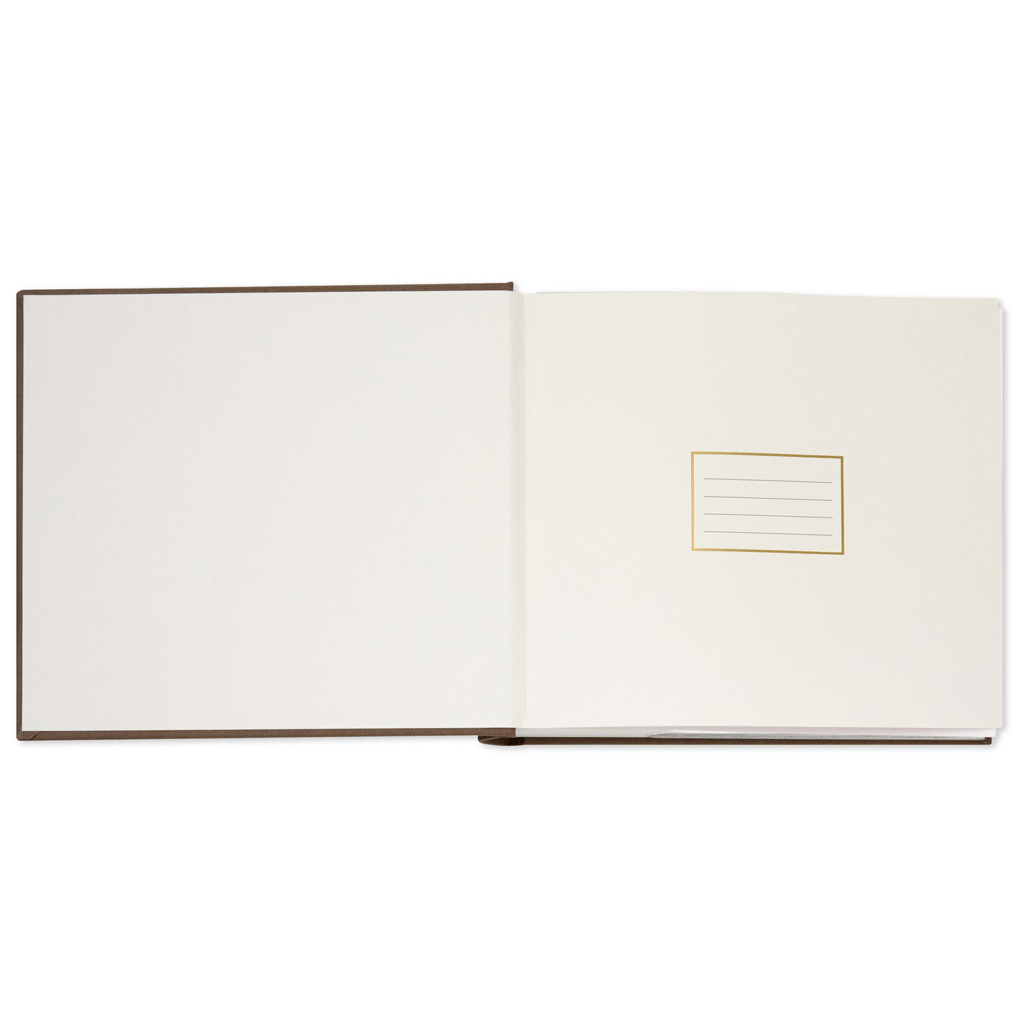 Taupe and Gold Memorial 2-Up Photo Album inside spread image number 3