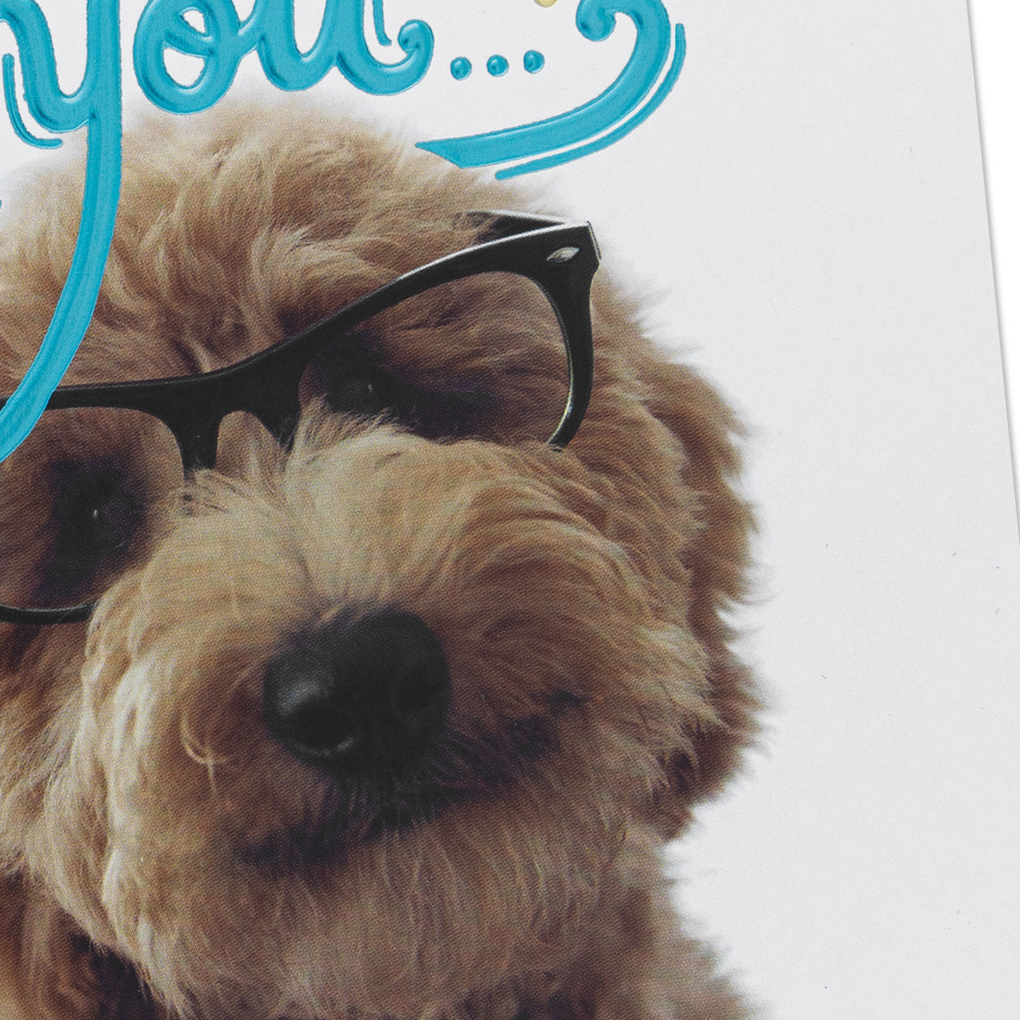 Doodle Dog in Glasses Congratulations Card  image number 4