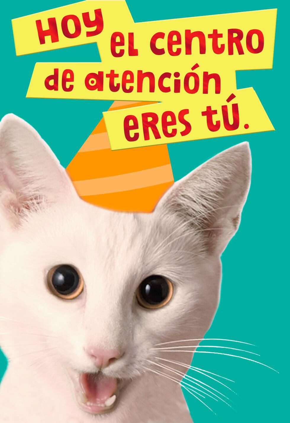 Party Waiting to Happen Spanish-Language Birthday Card