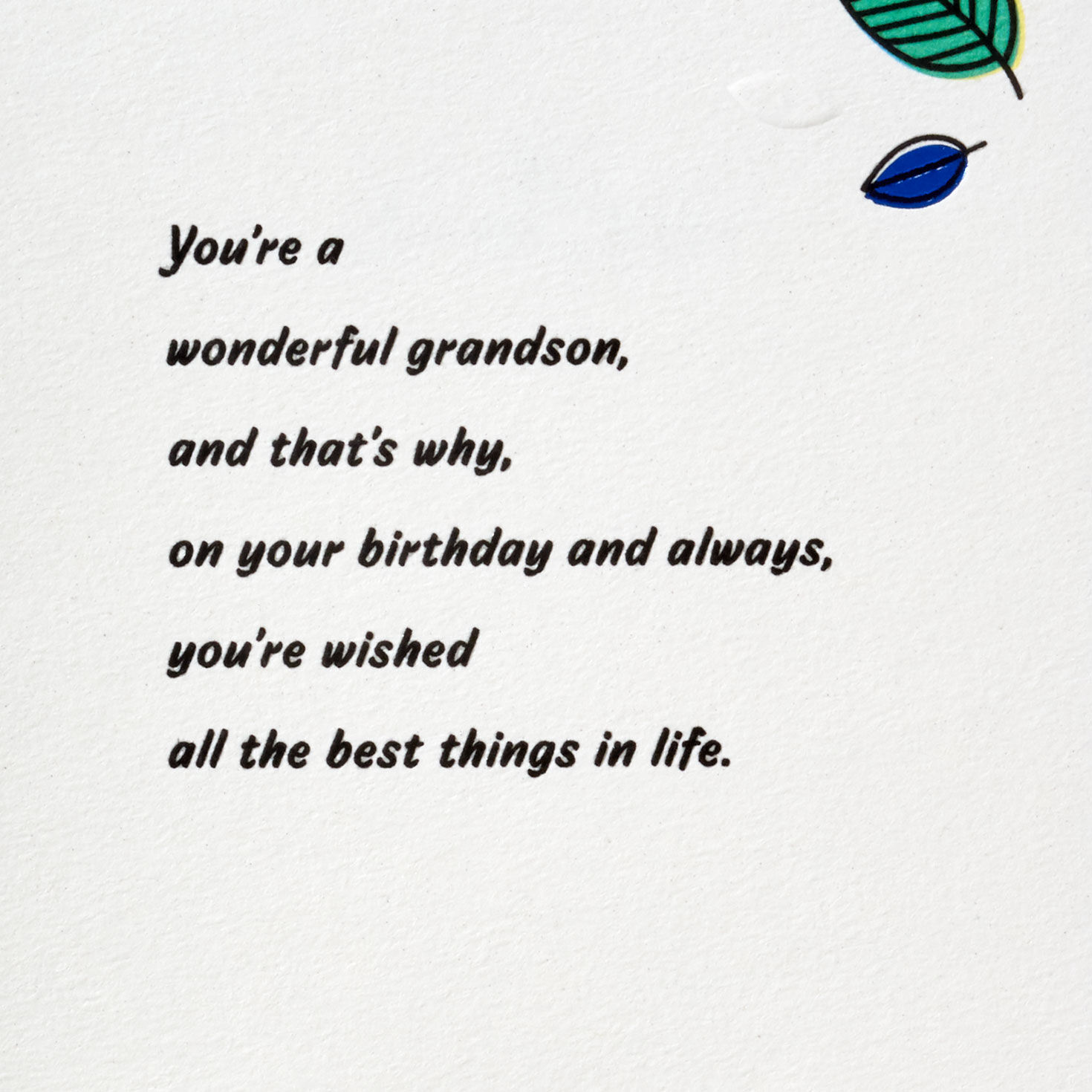 Blue and Green Leaves Grandson Birthday Card Sentiment image number 3