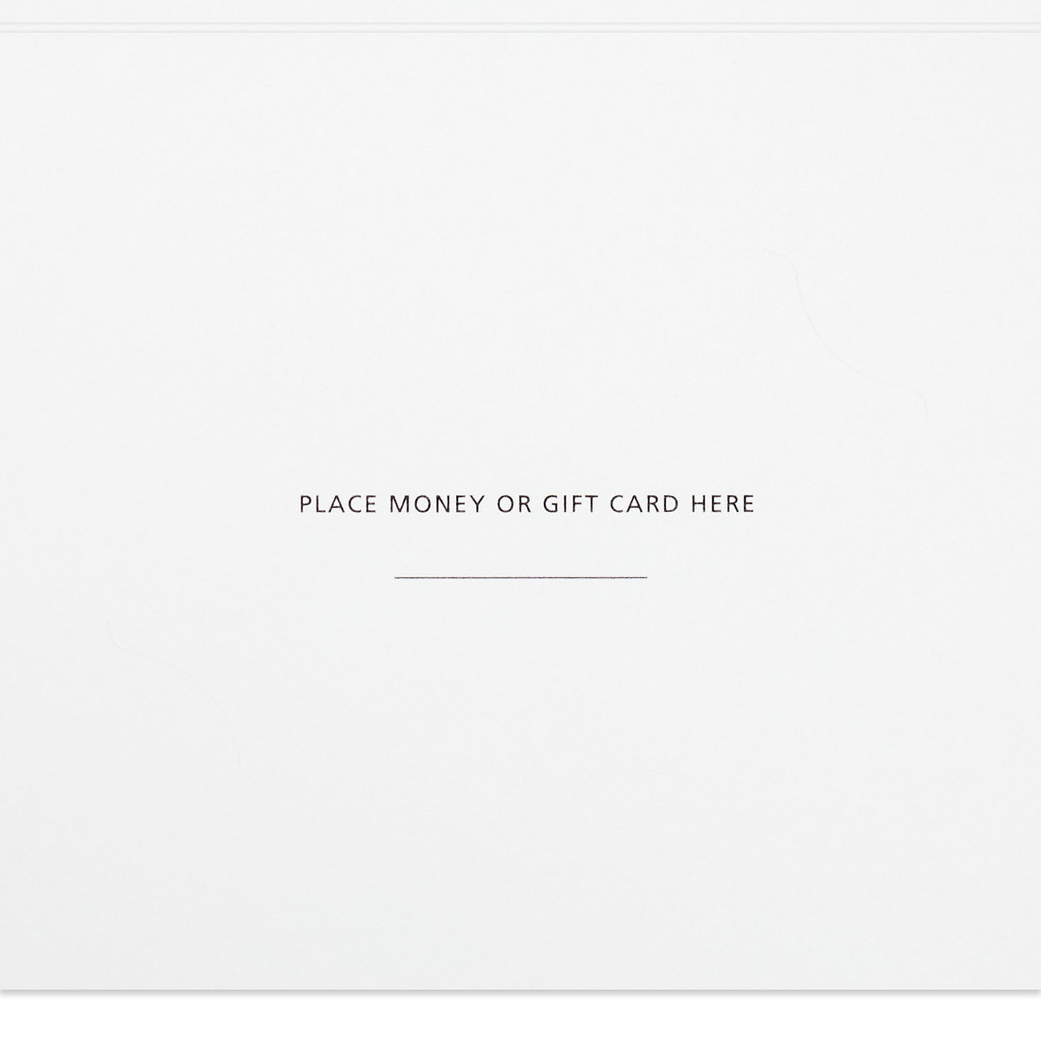 Reindeer Dogs Money-Holder Christmas Card Pack Sentiment Detail image number 4