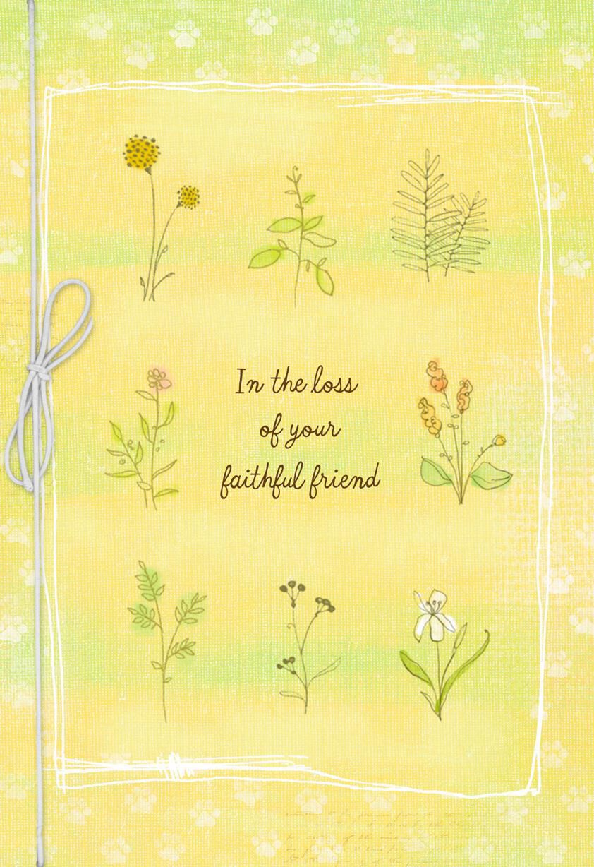Your Faithful Friend Loss of Pet Card