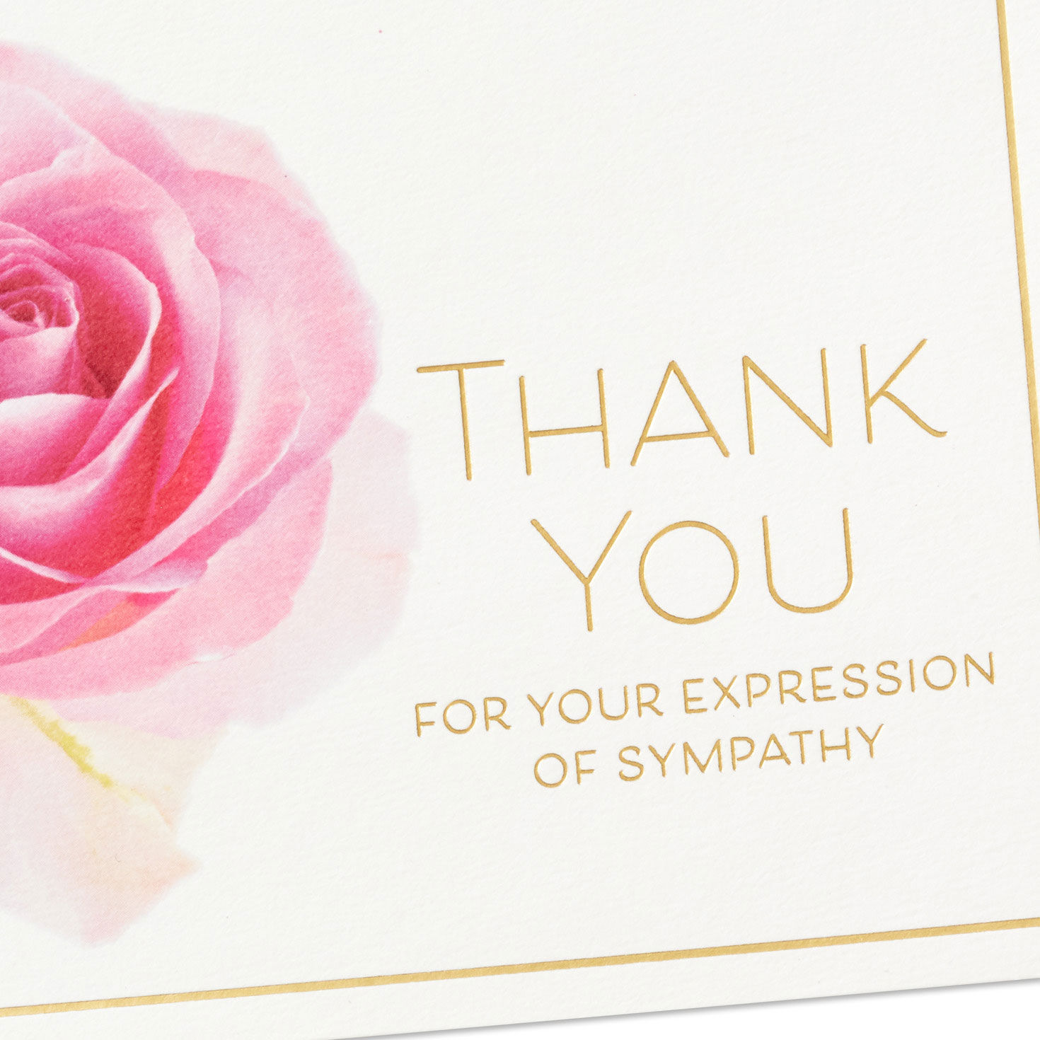 Pink Rose Boxed Blank Sympathy Thank-You Notes, Pack of 10 for only USD 10.49 | Hallmark