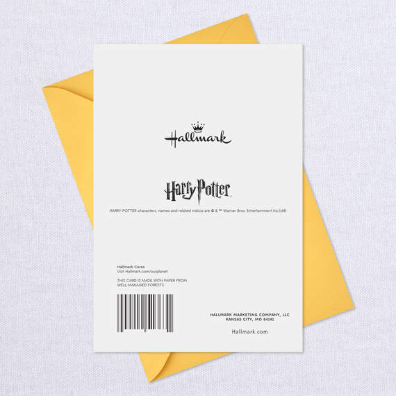 Harry Potter™ Hogwarts™ House Crests New Baby Card, , large image number 7