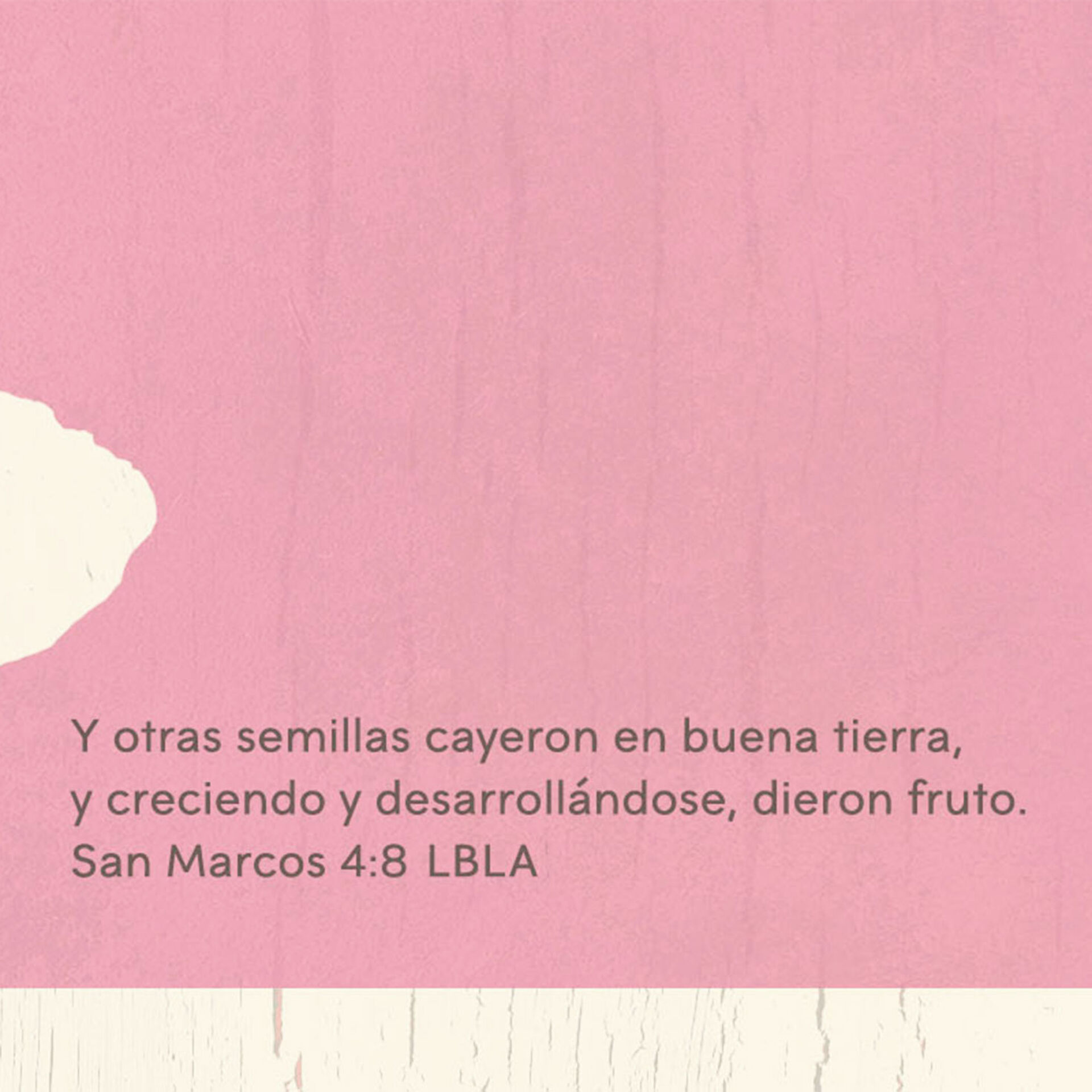 Sister Bond Religious Spanish Language Mother S Day Card Greeting Cards Hallmark