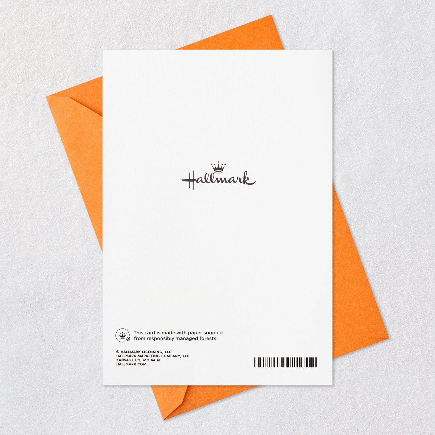 Being Family With You Is Wonderful Birthday Card for Son-in-Law for only USD 5.99 | Hallmark