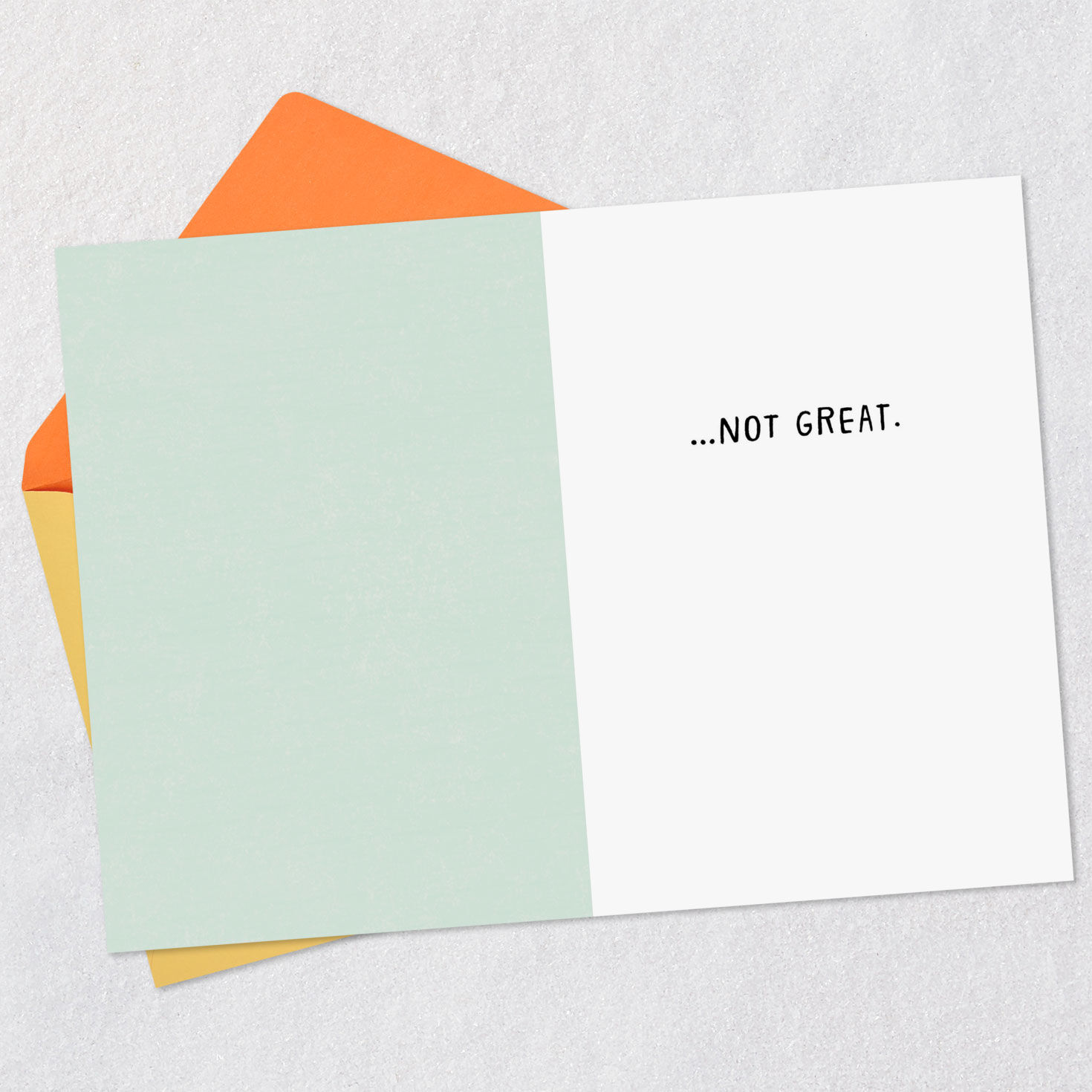 Dumpster Fire Funny Care and Concern Card Open card with envelope image number 3