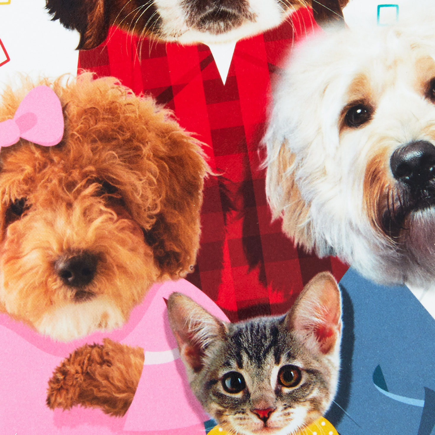Cats and Dogs Pop-Up Birthday Card Card Front Detail image number 4
