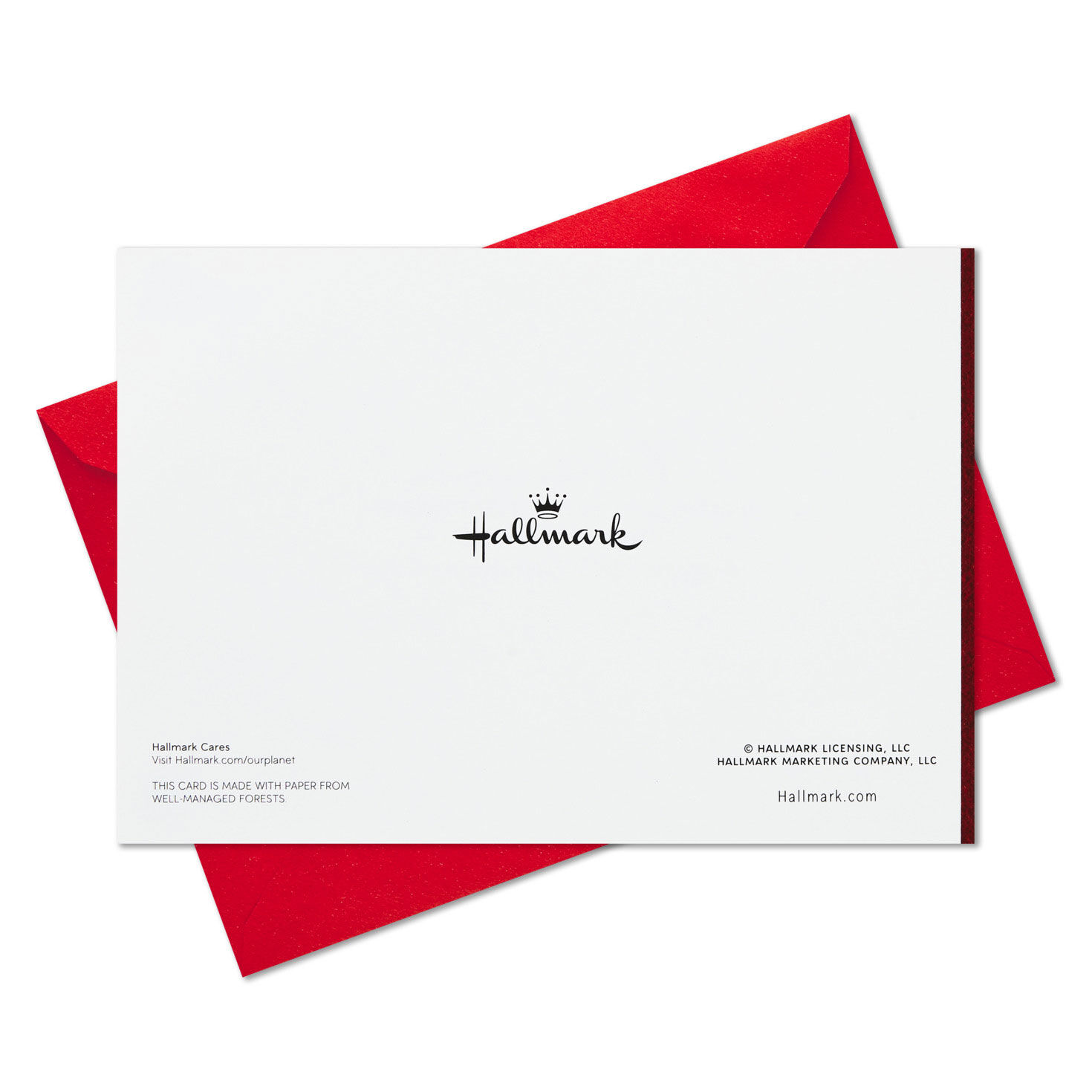 Cardinal on Branch Boxed Christmas Cards, Pack of 40, , large image number 7