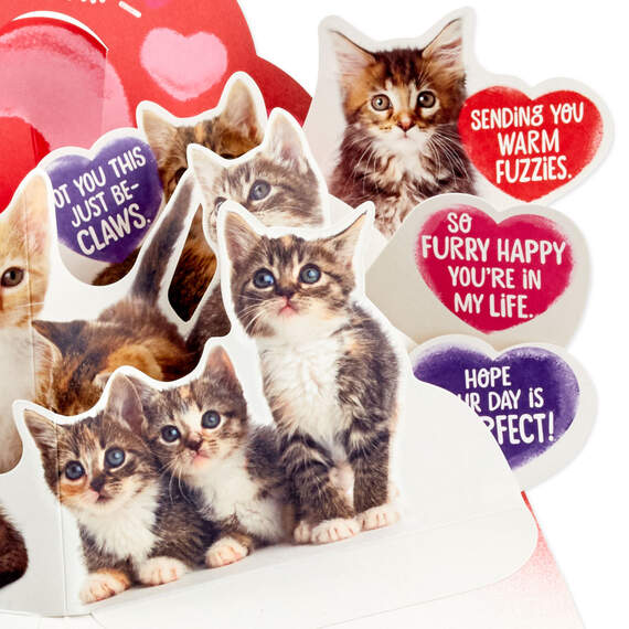 Truly Adorable Cats Funny Pop-Up Valentine's Day Card, , large image number 5