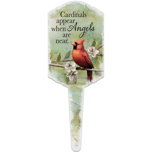 Carson Cardinals Appear When Angels Near Plant Pick, 