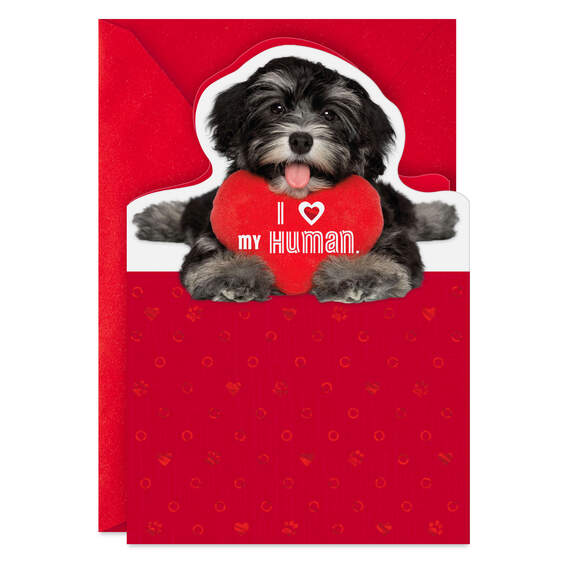 I Love My Human Valentine's Day Card From Dog, , large image number 1